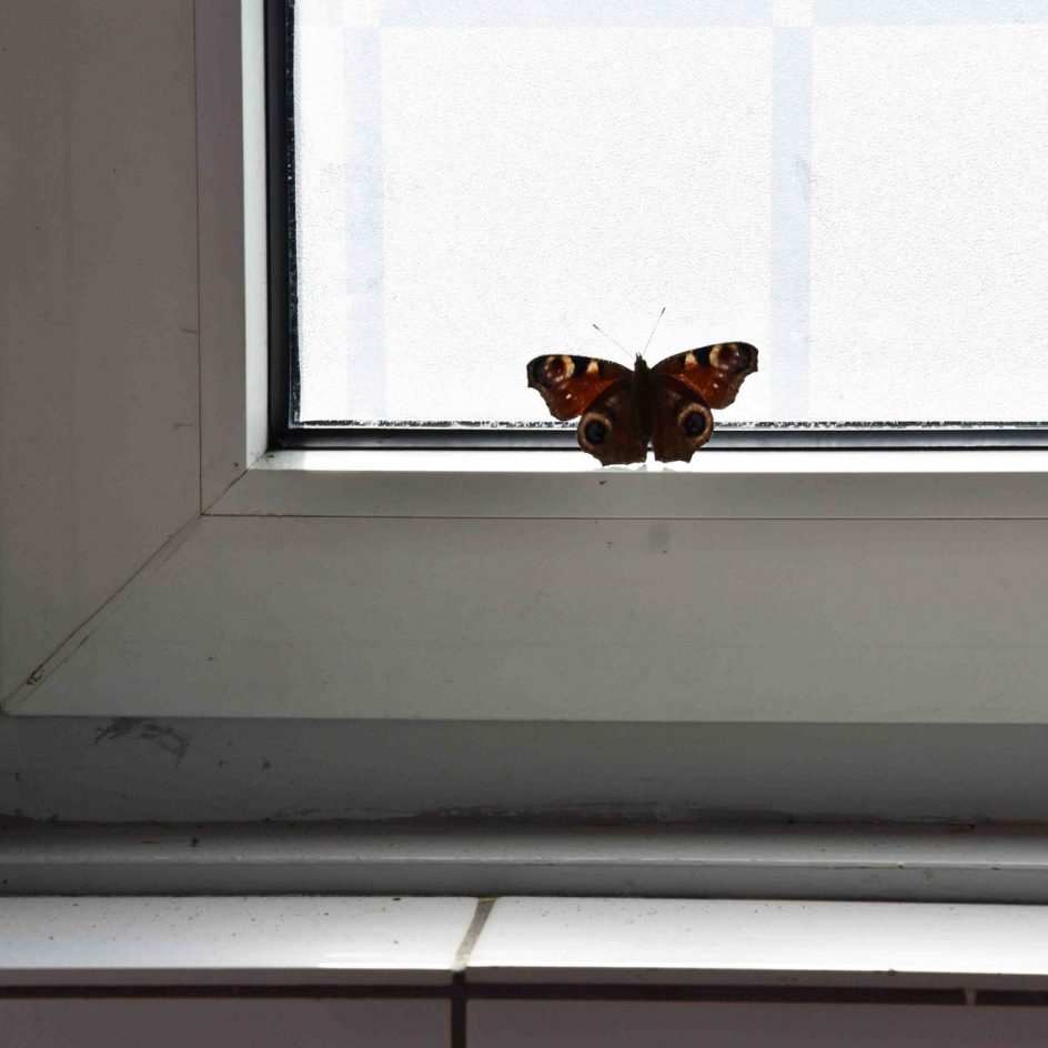 Afbraakwoningen Eenhoorn Kay Sleking