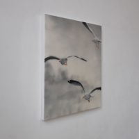 Seagulls Schilderij Painting Artwork Kunstwerk Kay Sleking
