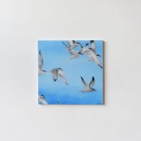 "Flight of Terns" Artwork Kunstwerk Schilderij Painting