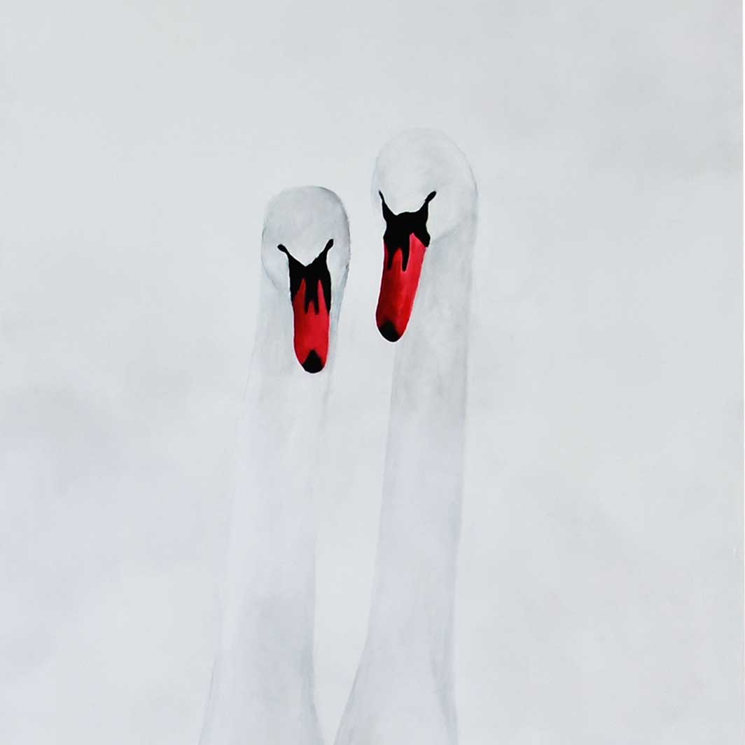 PRODUKTFOTO Two swans