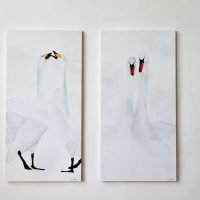 Two Swans Swan Dance A LR
