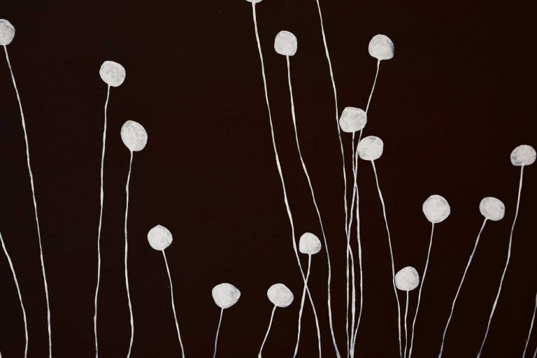 Craspedia-D-LR Craspedia D LR