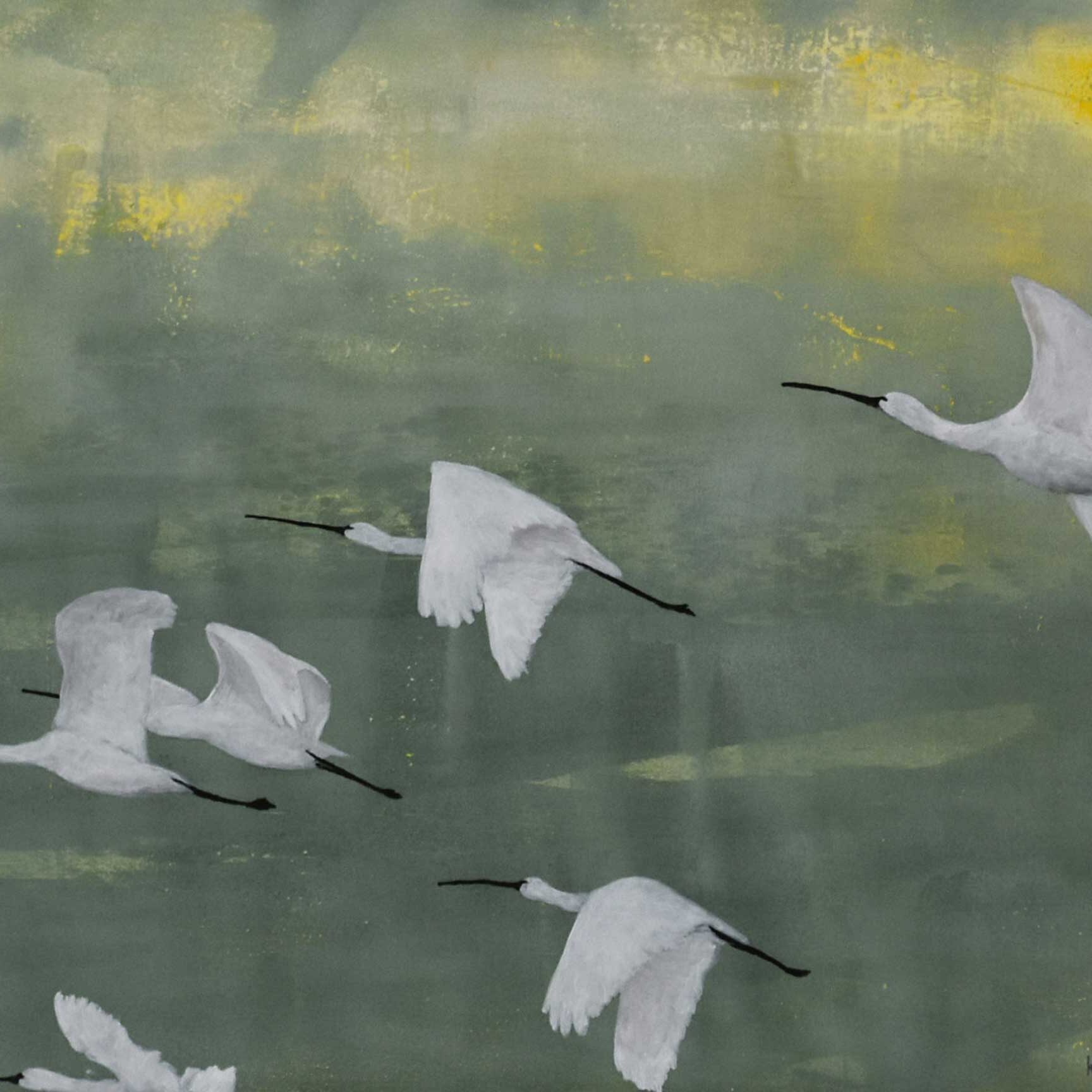 flight of spoonbills I homepage