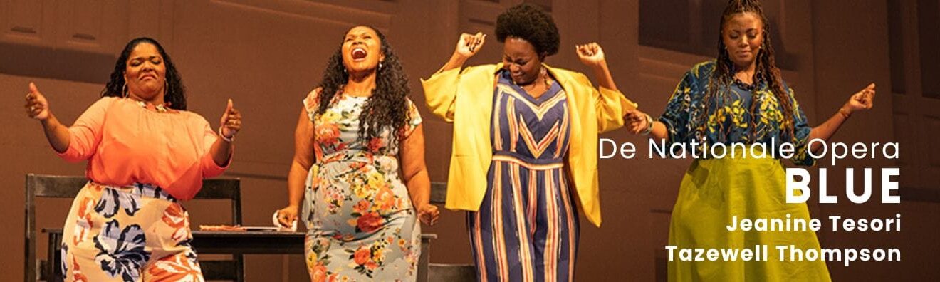 Diversity Advisor – Chorus, Nationale Opera & Ballet