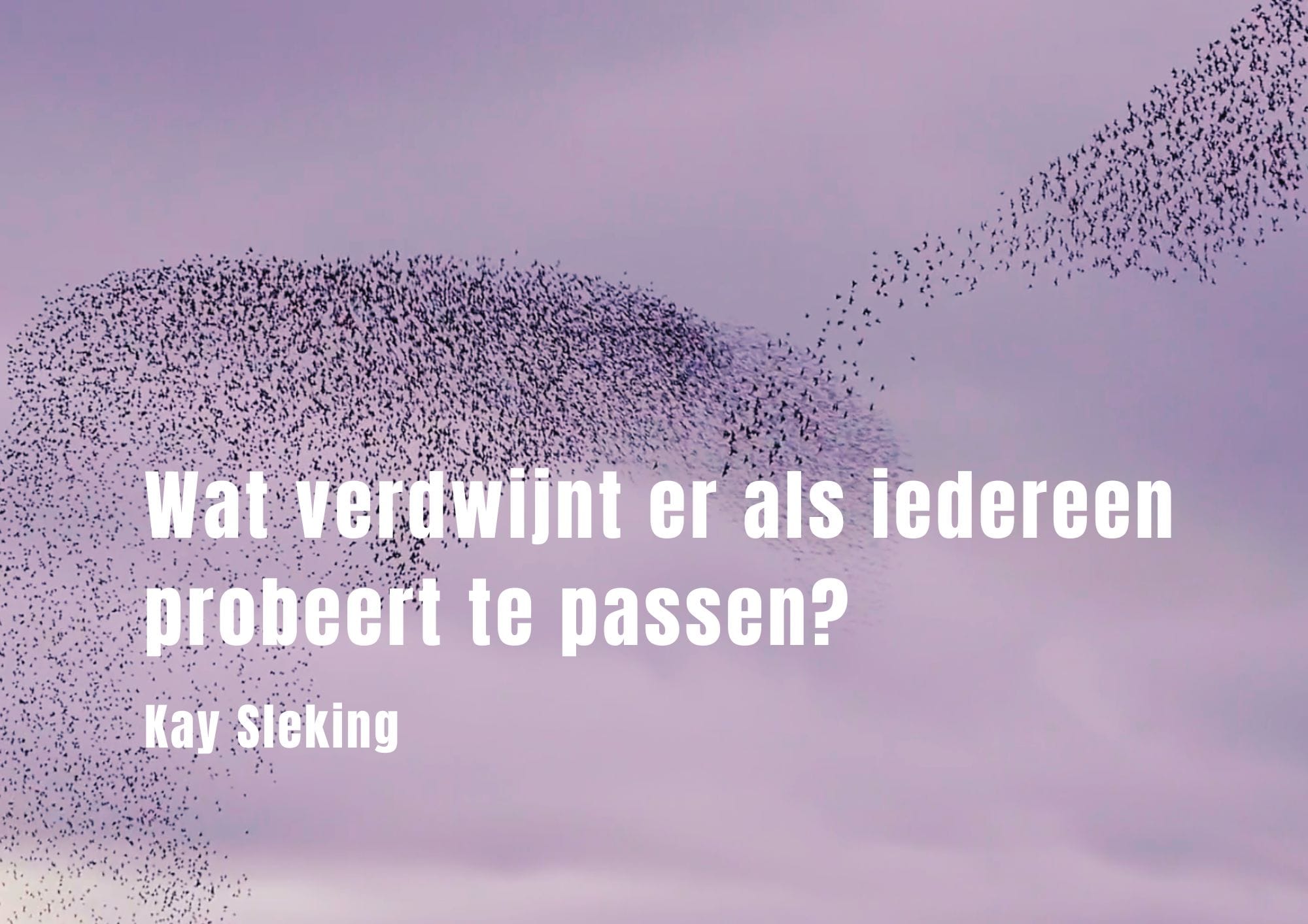 Wat verdwijnt er als iedereen probeert te passen? – Kay Sleking
