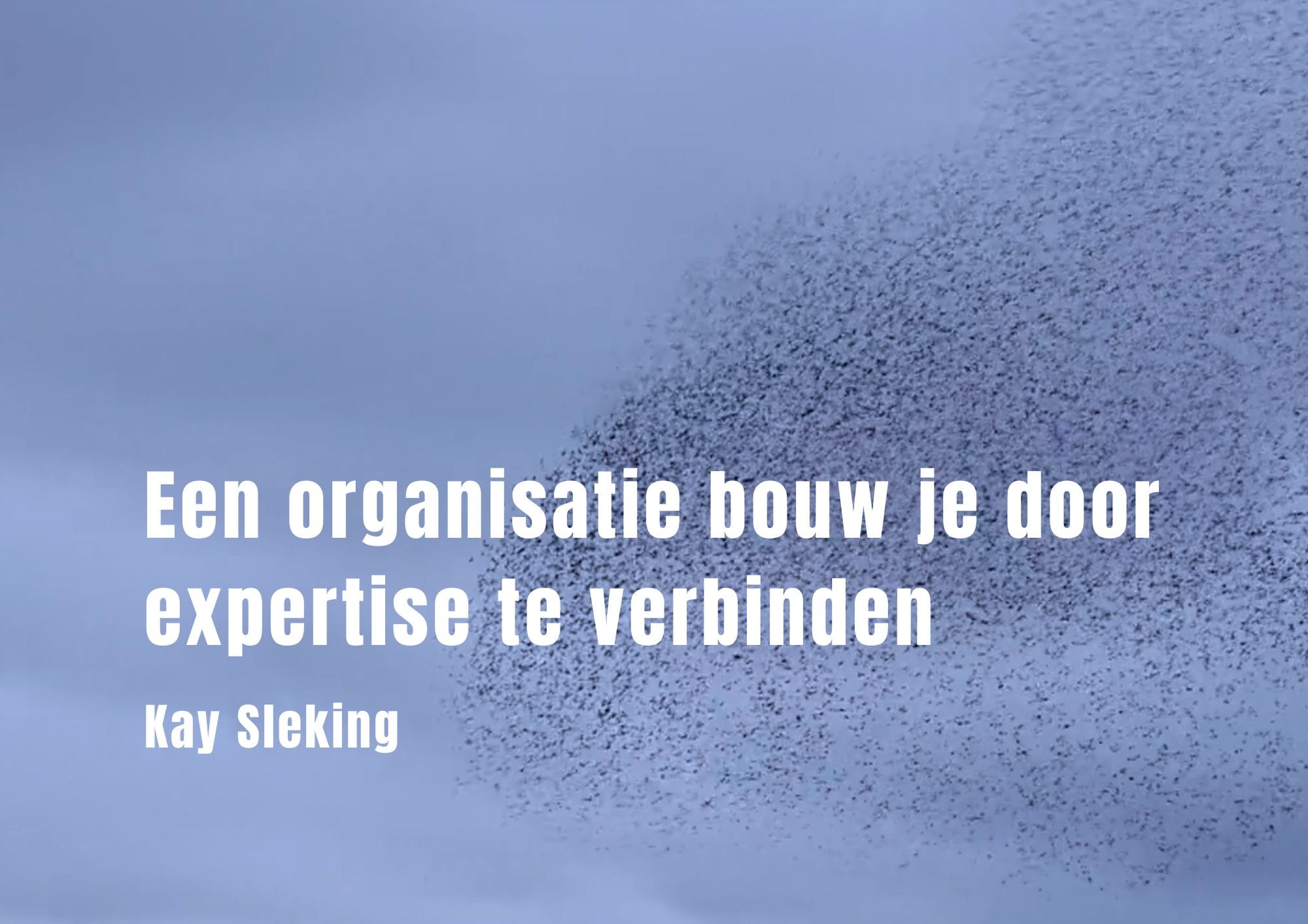 een-organisatie-bouw-je-door-expertise-te-verbinden-kay-sleking