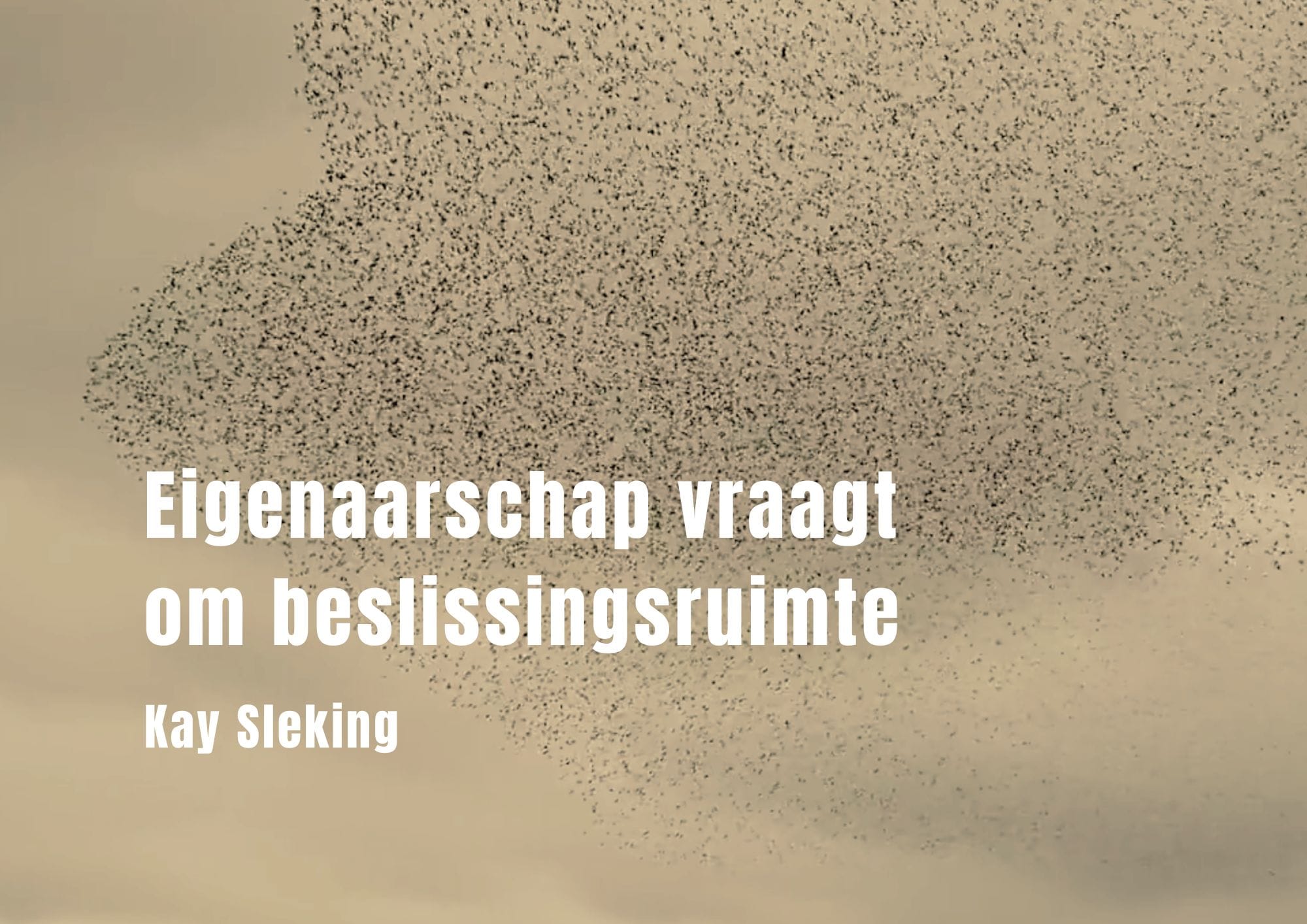 eigenaarschap-vraagt-om-beslissingsruimte-kay-sleking